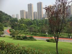 -龙头寺公园