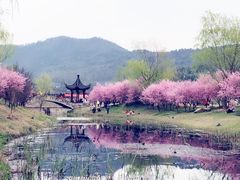 -石塘人家