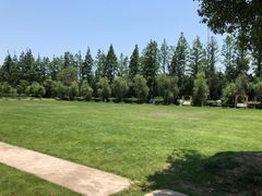 -前小桔亲子创意农场·草莓采摘·露营烧烤