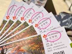 -关门山森林公园