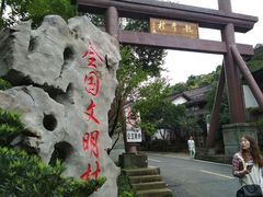 -龙井村