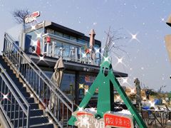 -空港花田景区