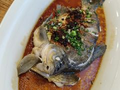豆辣蒸三角鲂-饭怕鱼(阳光100店)