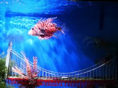 -太平洋海底世界