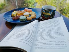 -天津东丽湖风景区