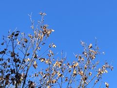 -帽儿山国家森林公园