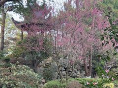 -浙江西子宾馆·瑶园咖啡厅