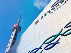 -上海海洋水族馆