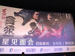 -保利国际影城(保利文化广场店)