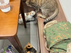 -Again Coffee Roaster(香蜜湖店)