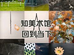 -知美术馆