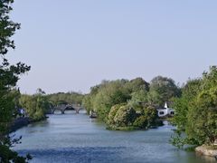 -扬州大运河文化旅游度假区·盆景园