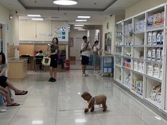 -美联众合动物医院·24h京西诊疗中心