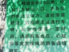 -羚羊峡古栈道森林公园
