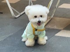 -西安万象天地