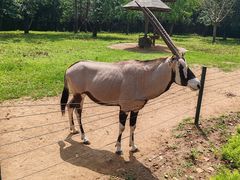 -大连森林动物园