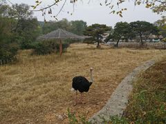-沈阳森林动物园
