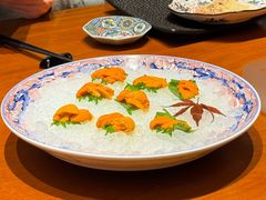 -月龍吟(朝龙汇店)