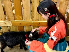 -正佳雨林生态植物园