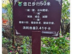 -孔雀湖生态旅游区