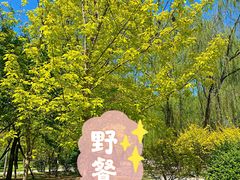 -二一九公园