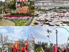 -广州莲花山旅游区