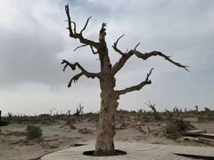 -天山神秘大峡谷