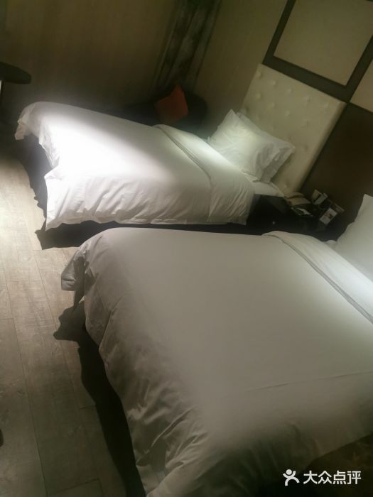 美豪怡致酒店(上海长寿路店)图片