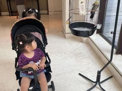 -上海崇明金茂凯悦酒店