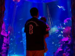 -沈阳海洋探索中心