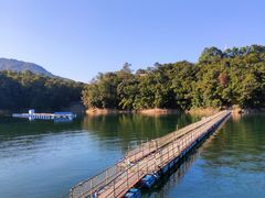 -广州市流溪河国家森林公园