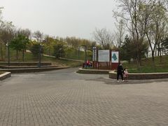 -东郊湿地公园