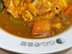 -CoCo壱番屋