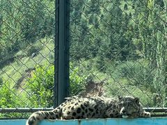 -青藏高原野生动物园