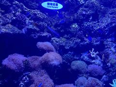-欢乐海岸海洋奇梦馆