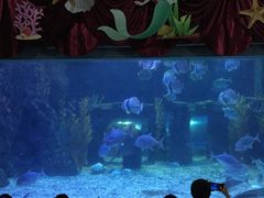 -台州海洋世界