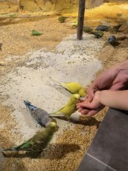 -酷嗒动物文化乐园(cutezoo西溪乐天城店)