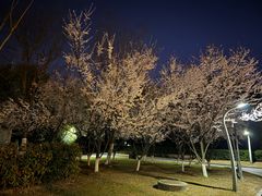 -滨湖塘西河公园