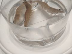 -红鼎豆捞·非遗鲍皇汤火锅(宝丰路店)