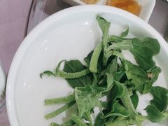 非洲冰草-顺风酒店(长寿路店)