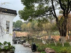 -日出青木