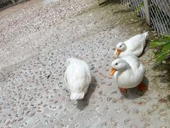 -珠海海泉湾神秘岛亲子乐园