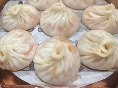 -莱莱小笼·乔艾
