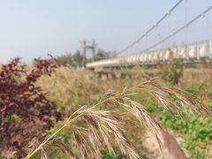 -西青郊野公园