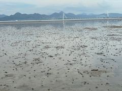 -深圳湾公园(南山区)