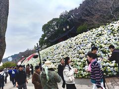 -苏州上方山国家森林公园