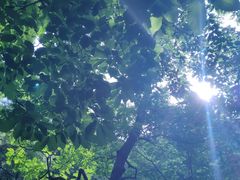 -天津盘山风景名胜区