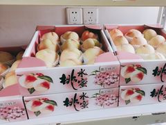 -南汇新场正宗水蜜桃采摘