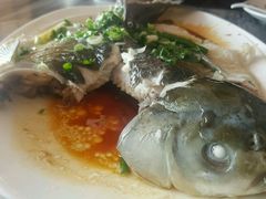 -鸽鸟轩(石岐店)