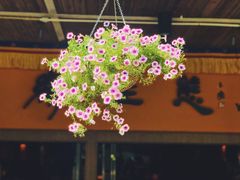 -缘生态云南菜·野生菌庭院餐厅(华侨城店)
